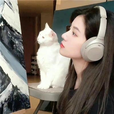 旋转家族
